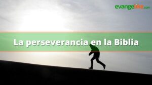 Lee más sobre el artículo La perseverancia en la Biblia
