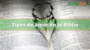 Lee más sobre el artículo Tipos de amor en la Biblia